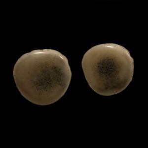 Vintage Bone Pierced Earrings #7995